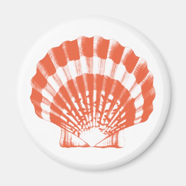 Imán Conchas marinas - naranja de coral y blanco (Frente)
