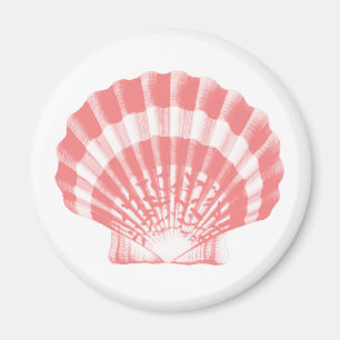 Imán Conchas marinas - rosa y blanco de coral