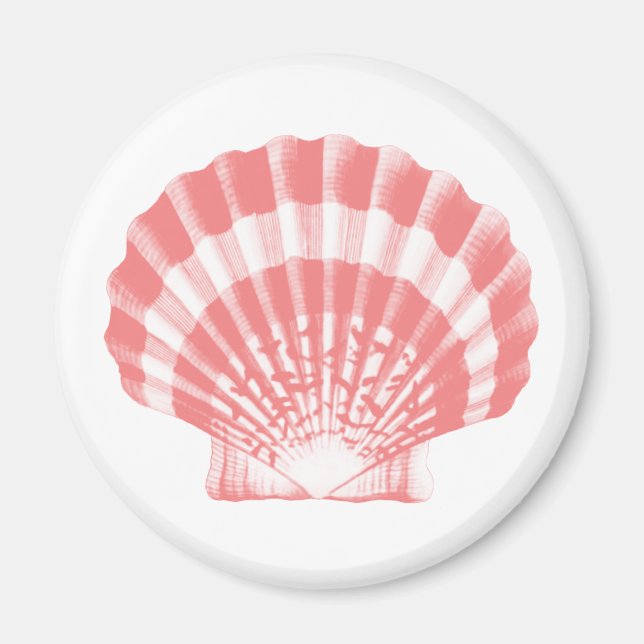Imán Conchas marinas - rosa y blanco de coral (Frente)