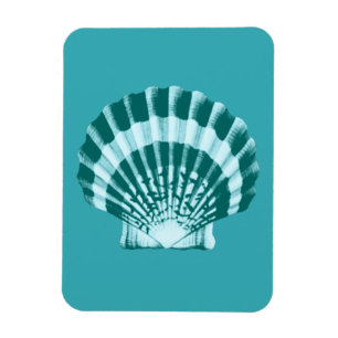 Imán Conchas marinas - tonos azules verde azulados