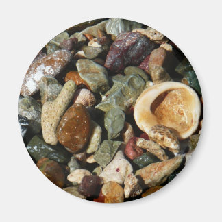 Imán conchas, rocas y fotografía de la naturaleza coral