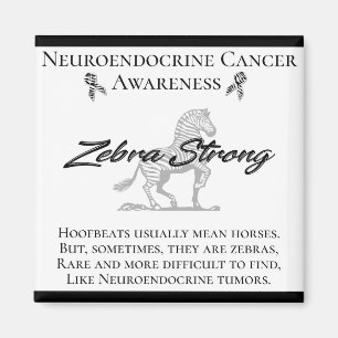 Imán Conciencia sobre el cáncer neuroendocrino Cebra f