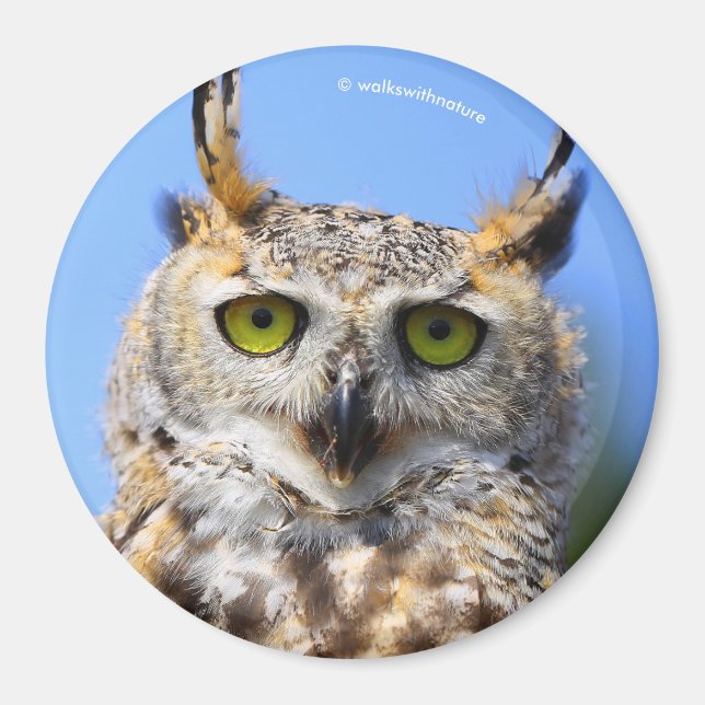 Imán Concurso de atención con una hermosa lechuza grand (Frente)