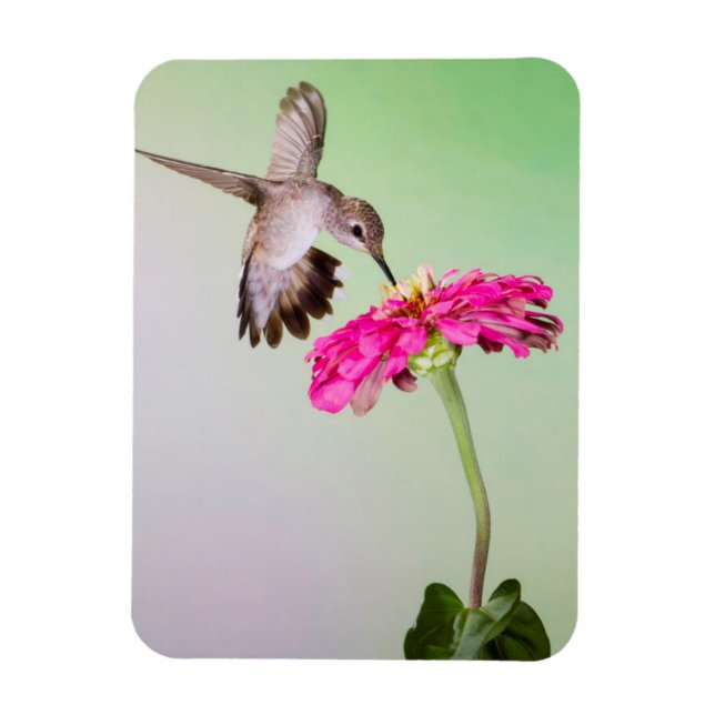 Imán Condado de Jeff Davis, Texas (Vertical)