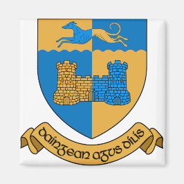 Imán Condado de Longford Irlanda