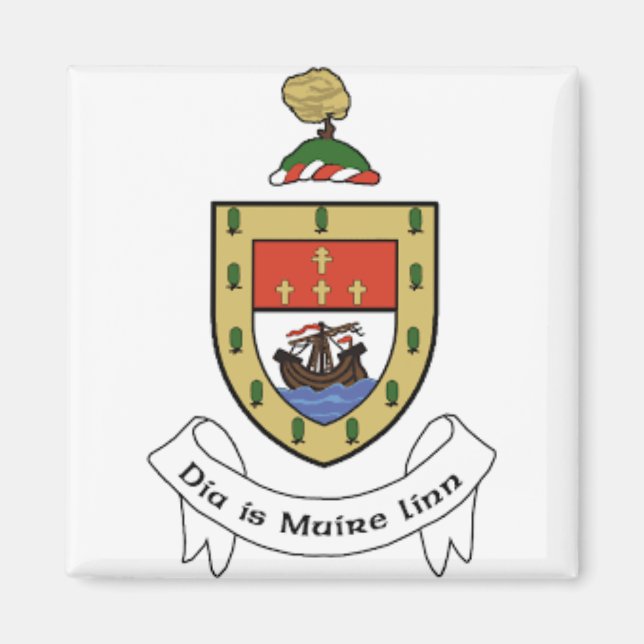 Imán Condado de Mayo Irlanda (Frente)