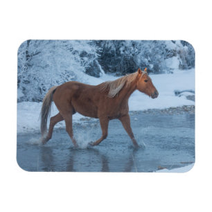 Imán Conducción de caballos en invierno en Hideout Ranc