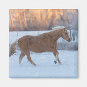 Imán Conducción de caballos en invierno en Hideout Ranc