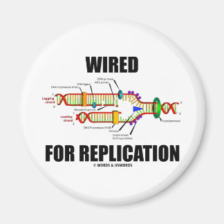 Imán Conectado Para La Replicación (Replicación De ADN)