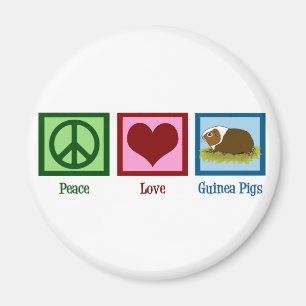 Imán Conejillo de Indias lindo