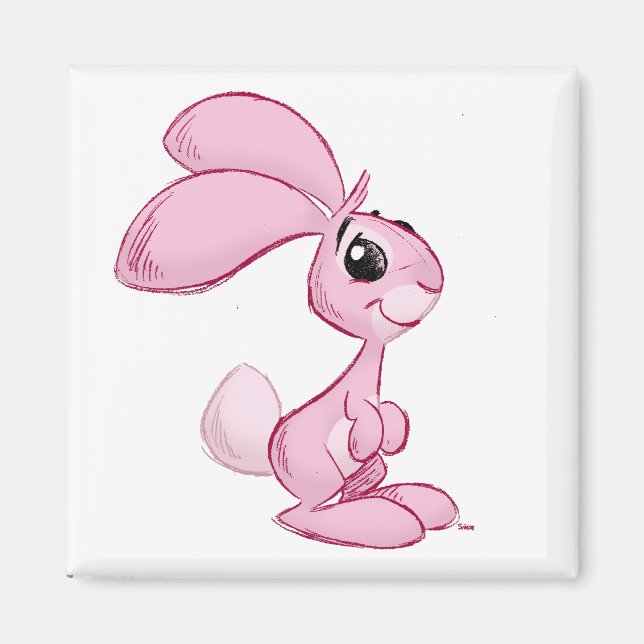 Imán conejito (Frente)