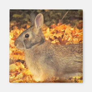 Imán Conejito del otoño