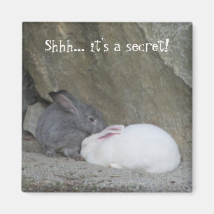 Imán Conejitos Adorables con Frase