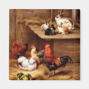 Imán Conejitos de los animales del campo de las