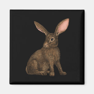 Imán Conejo 4