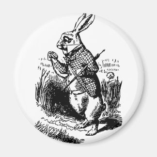 Imán Conejo blanco
