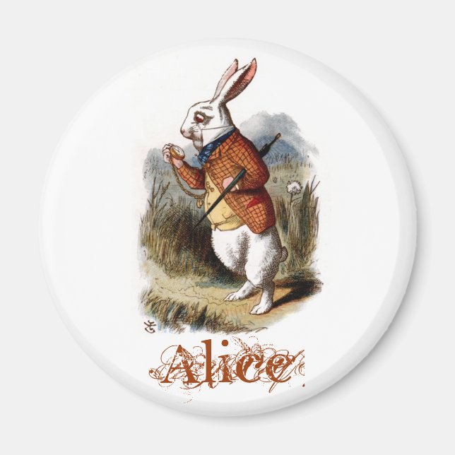 Imán Conejo blanco (color) (Frente)