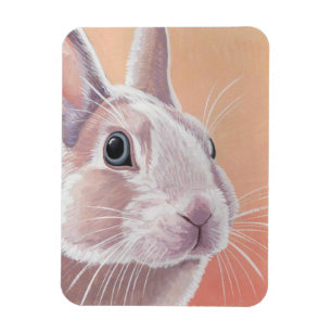 Imán Conejo Cute