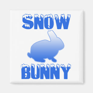 Imán Conejo de nieve