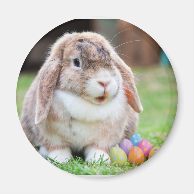 Imán Conejo de Pascua (Frente)