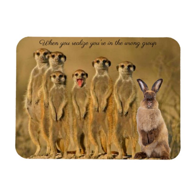 Imán Conejo divertido Meerkat Magnet (Horizontal)
