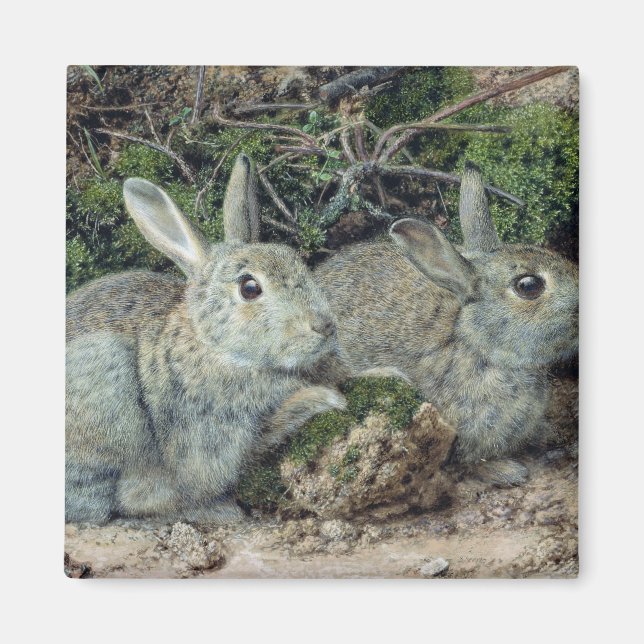 Imán Conejos (Frente)