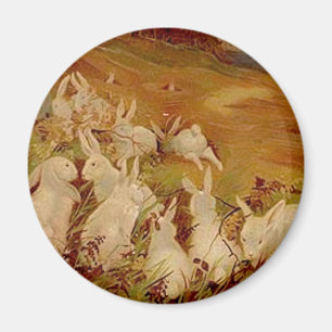 Imán Conejos de cosecha