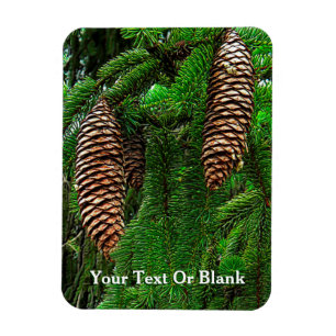 Imán Cones Y Agujas