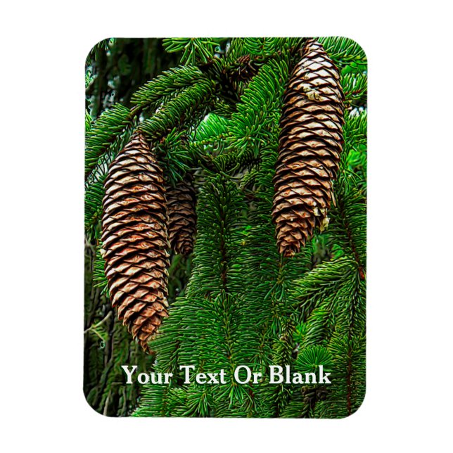 Imán Cones Y Agujas (Vertical)