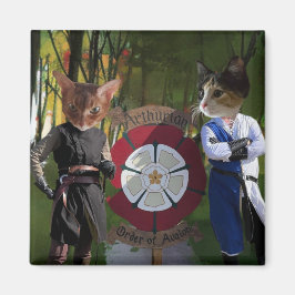 Imán Conexión francesa AOA