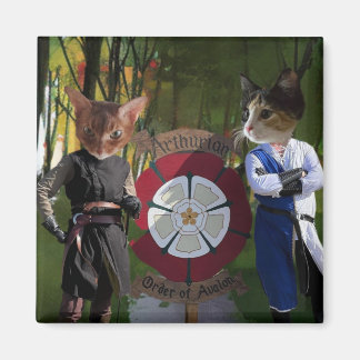 Imán Conexión francesa AOA