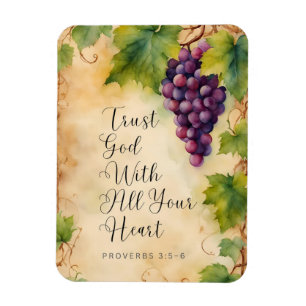 Imán Confía en Dios con Todo tu Corazón Proverbios 3:5-