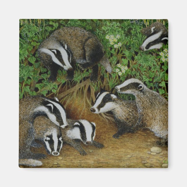 Imán Configuración (Frente)