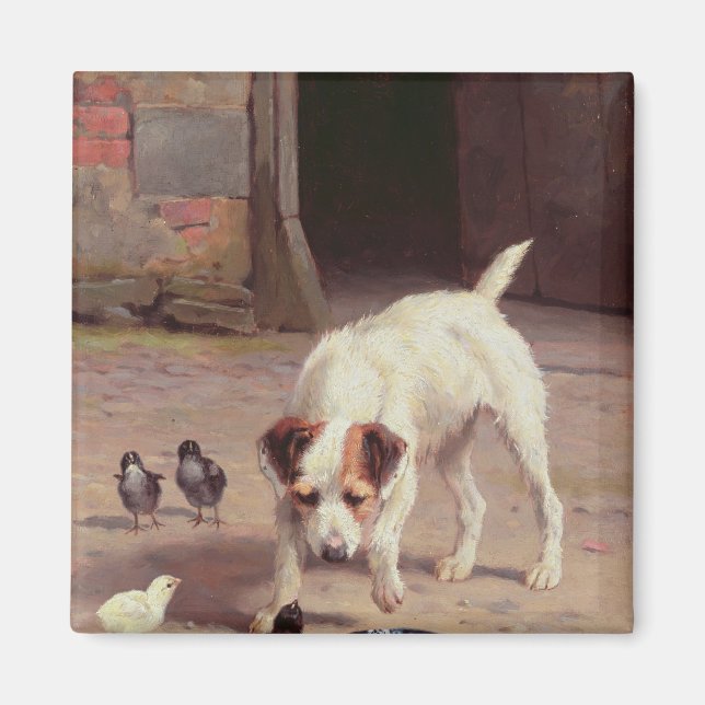 Imán Confrontación (Frente)