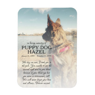 Imán conmemoración de la foto en el lado derecho