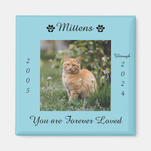 Imán conmemorativo de recuerdo de gato doméstico