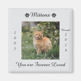 Imán conmemorativo de recuerdo de gato doméstico
