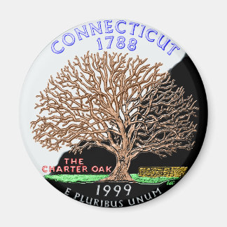 Imán Connecticut Magnet