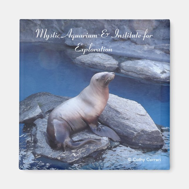 Imán Connecticut Magnet (Frente)