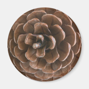 Imán Cono de pino