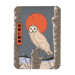 Imán Conocimiento y sabiduría