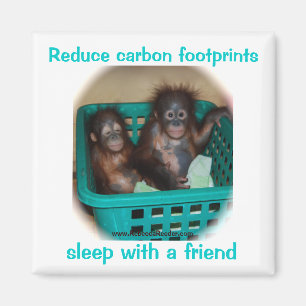 Imán Consejo chistoso de la protección