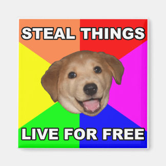 Imán Consejos para el perro roban cosas, viven gratis