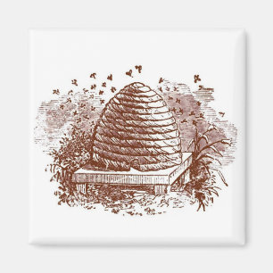 Imán Conservación de la Beehive
