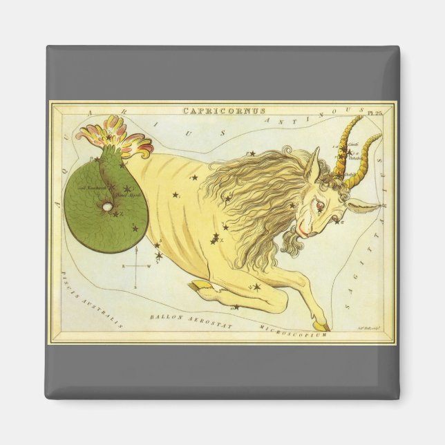 Imán Constelación de cosecha de capricornio, espejo de  (Frente)