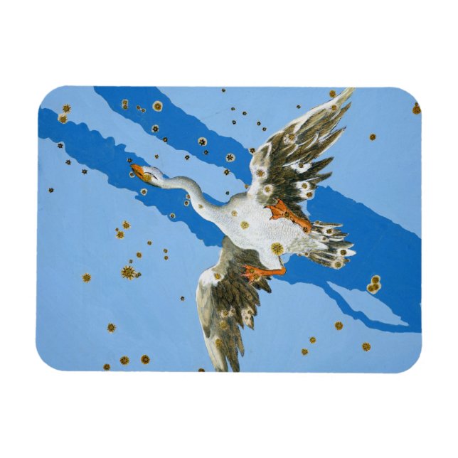 Imán Constelación de Cygnus, de ‘Uranometria’ escrita (Horizontal)