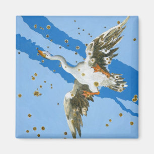 Imán Constelación de Cygnus, del writte de