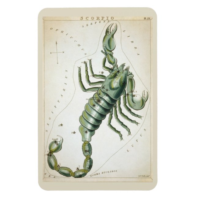 Imán Constelación de Scorpio (Vertical)
