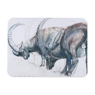 Imán Construyendo para invierno 2006