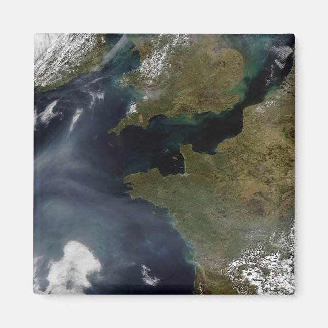 Imán Contaminación de Francia (Frente)